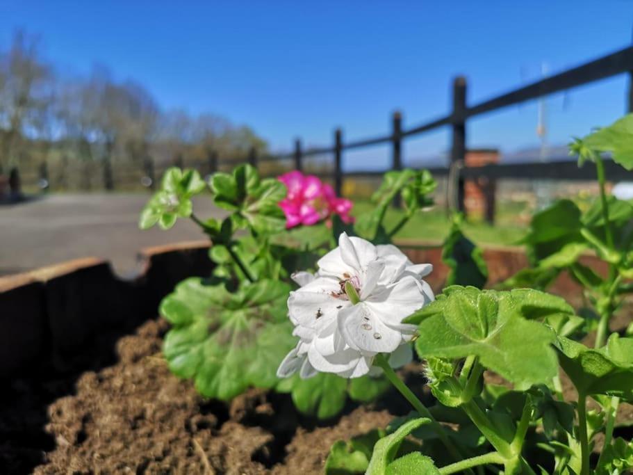 Casa Rural Los Riveros De Jeromo Selaya エクステリア 写真