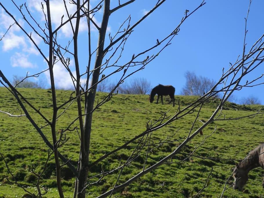 Casa Rural Los Riveros De Jeromo Selaya エクステリア 写真